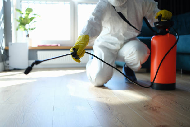 Professional Pest Control in Springfield, MA