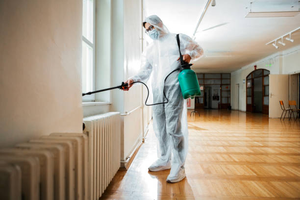 Flea Control Services in Springfield, MA