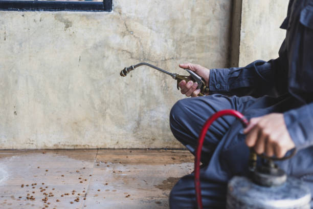 Best Pest Removal Services  in Springfield, MA